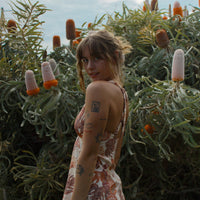 Sundance Dress