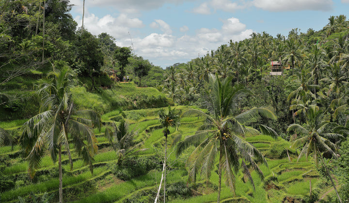ethical garment production in bali, indonesia