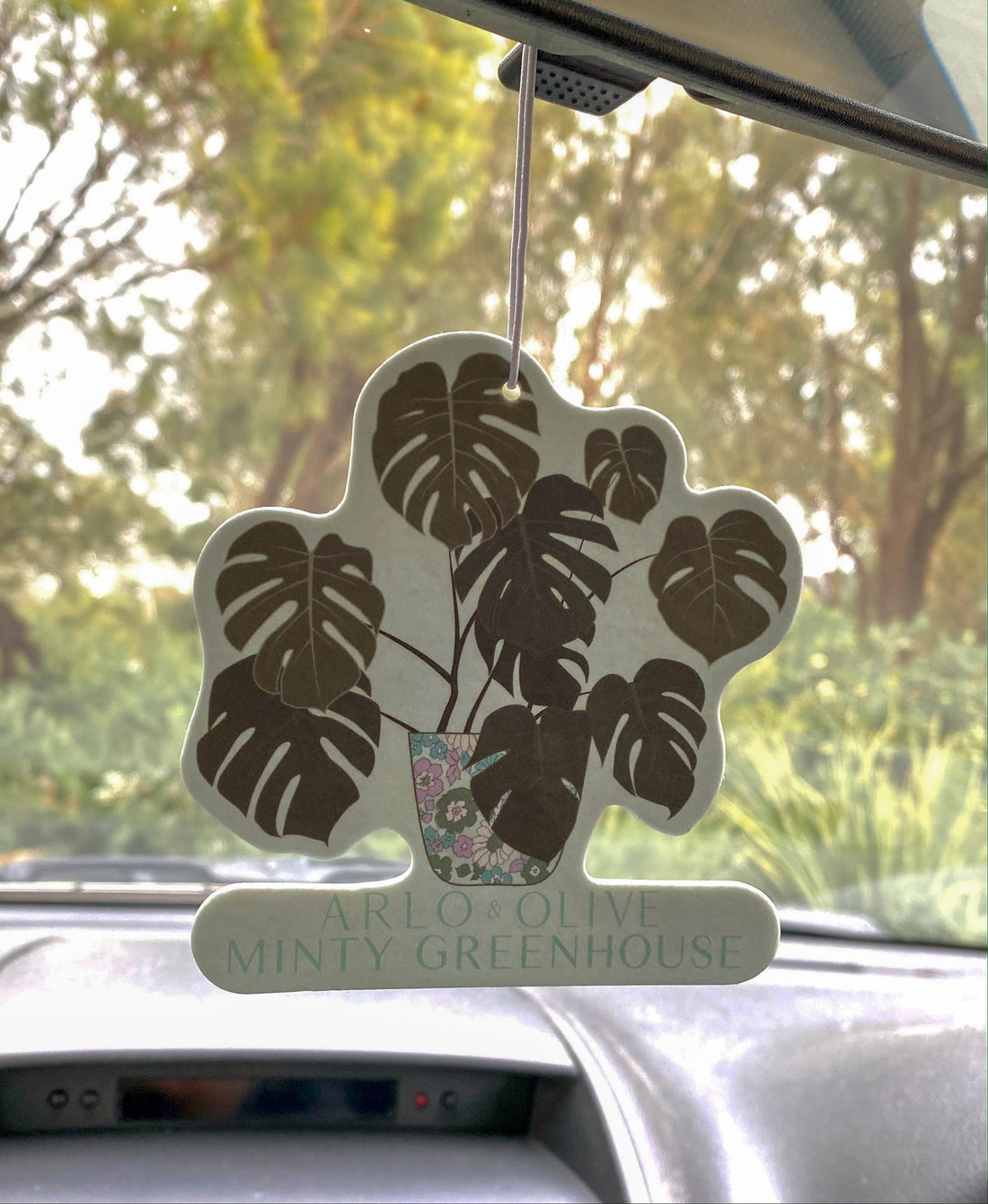 Coconut Car Freshener - Arlo and Olive x Minty Greenhouse